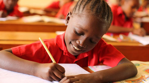 DHIS2 for Education (EMIS) Academy